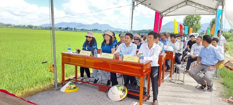 Thêm một cây cầu Việt kiều được khởi công xây dựng tại An Giang Thêm một cây cầu Việt kiều được khởi công xây dựng tại An Giang