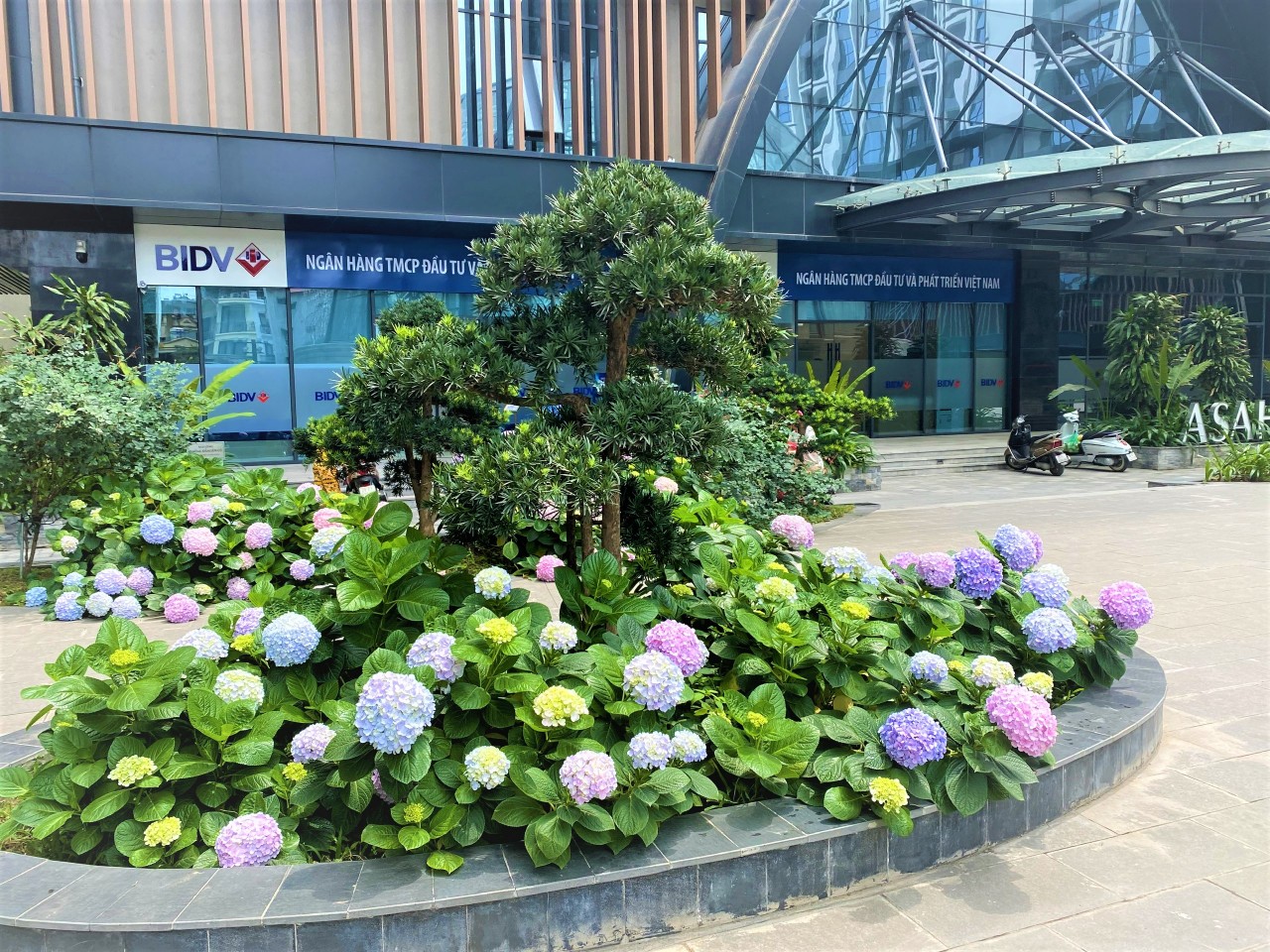 Hinode City có nhiều tiện ích cây xanh được bố trí thiết kế đẹp mắt. Ảnh HC Hinode City có nhiều tiện ích cây xanh được bố trí thiết kế đẹp mắt. Ảnh HC