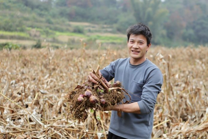 14 năm ChildFund đồng hành cùng người dân Trùng Khánh (Cao Bằng) 14 năm ChildFund đồng hành cùng người dân Trùng Khánh (Cao Bằng)
