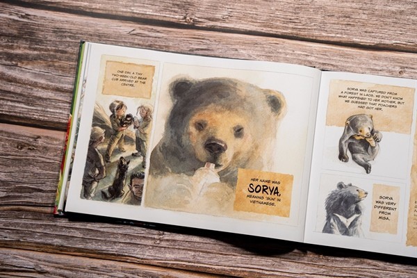 The images inside the book. Photo: Nguyen Kim Long The images inside the book. Photo: Nguyen Kim Long