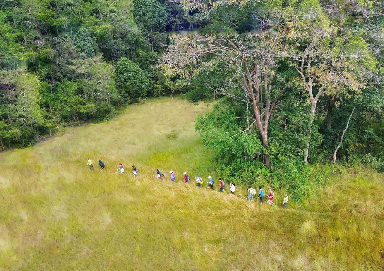 Get Back to Nature: Visit ASEAN Heritage Garden in Tay Ninh Province Get Back to Nature: Visit ASEAN Heritage Garden in Tay Ninh Province