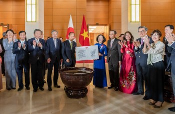 Hoa sen Việt Nhật - 