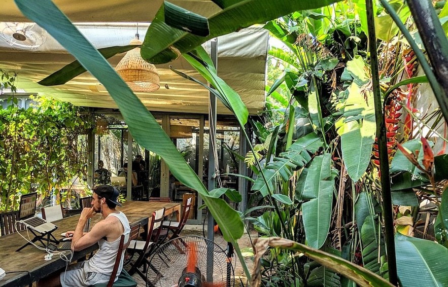 A foreigner work remotely in a café in Hoi An City (Photo: VNA) A foreigner work remotely in a café in Hoi An City (Photo: VNA)