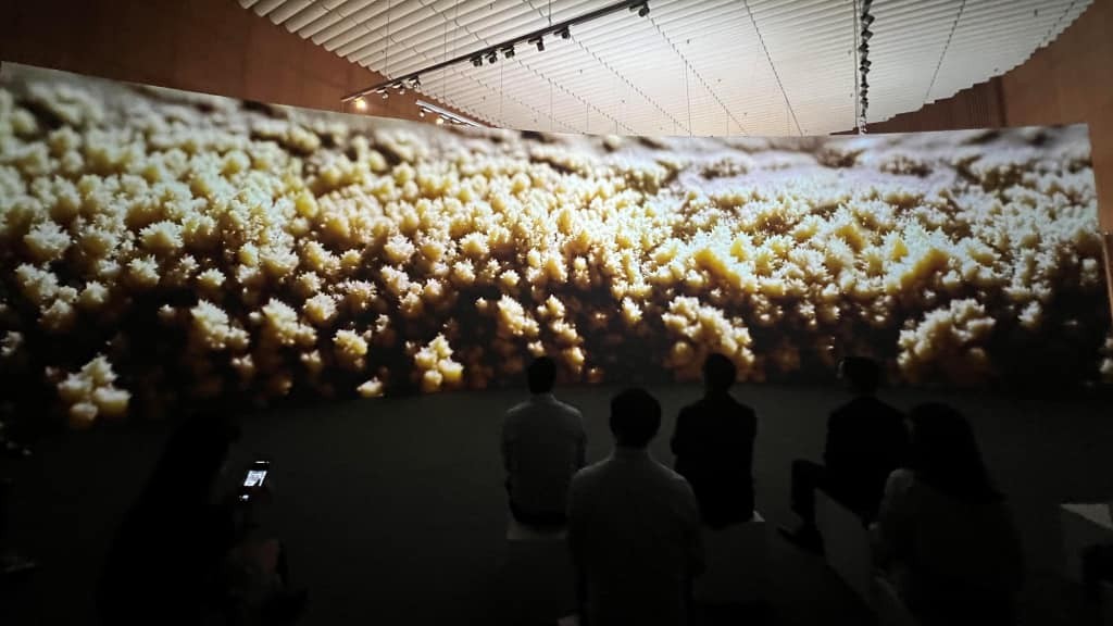 A screen with a length of 14m was used to show 14 works capturing outstanding sights on Jeju Island that won high prizes in the international photography competition from 2009 to 2022. Source: Dao Linh A screen with a length of 14m was used to show 14 works capturing outstanding sights on Jeju Island that won high prizes in the international photography competition from 2009 to 2022. Source: Dao Linh