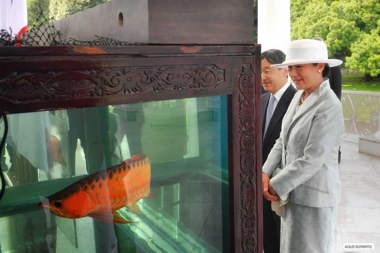 ‘Ngoại giao cá’ làm sâu sắc quan hệ Nhật Bản-Indonesia ‘Ngoại giao cá’ làm sâu sắc quan hệ Nhật Bản-Indonesia