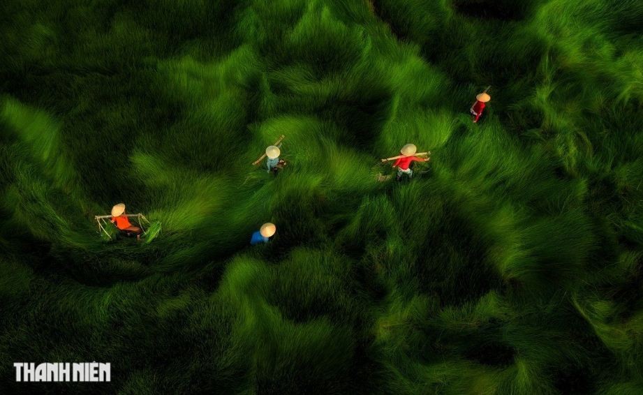Vietnam's Drone Shots Honoured at Drone Photo Awards Vietnam's Drone Shots Honoured at Drone Photo Awards