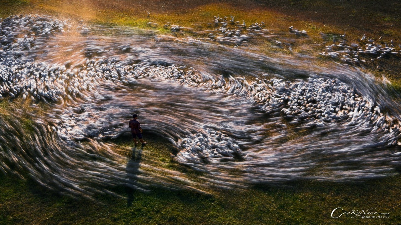 Vietnam's Drone Shots Honoured at Drone Photo Awards Vietnam's Drone Shots Honoured at Drone Photo Awards