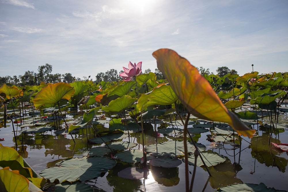 Photo: Visit Quang Nam Photo: Visit Quang Nam