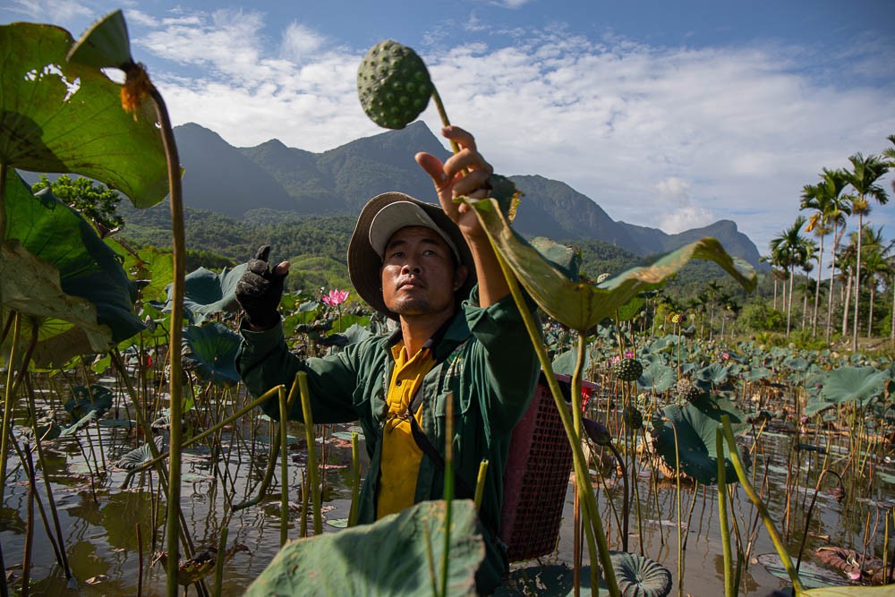 Photo: Visit Quang Nam Photo: Visit Quang Nam