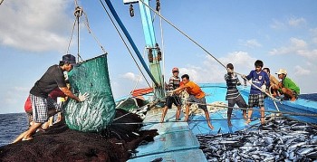 Từ năm 2019 đến nay, Phú Yên không có tàu cá khai thác hải sản trái phép vùng biển nước ngoài