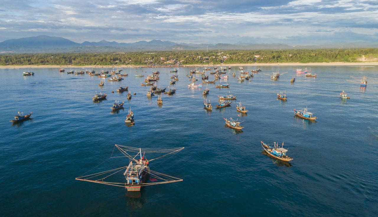 A new day begins in Tam Tien fishing market. Photo: Baodanang A new day begins in Tam Tien fishing market. Photo: Baodanang