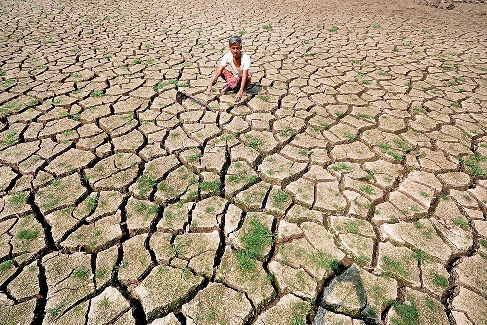 El Nino El Nino
