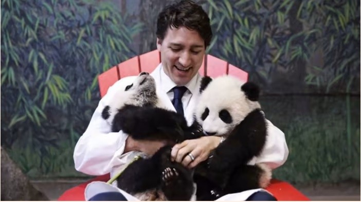Thủ tướng Canada Justin Trudeau với cặp gấu trúc song sinh Jia Thumper và Jia Yueyue tại Vườn thú Toronto, tháng 3-2017. Ảnh:Twitter/Justin Trudeau Thủ tướng Canada Justin Trudeau với cặp gấu trúc song sinh Jia Thumper và Jia Yueyue tại Vườn thú Toronto, tháng 3-2017. Ảnh:Twitter/Justin Trudeau