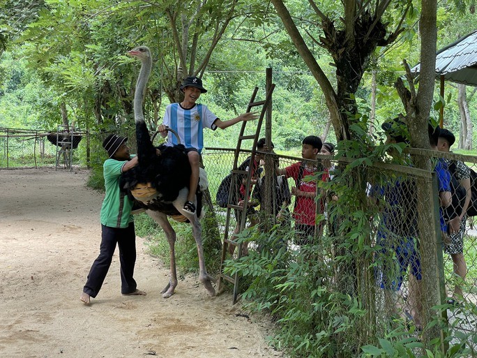 A tourist ride on an ostrich. Photo: Ky Nam A tourist ride on an ostrich. Photo: Ky Nam