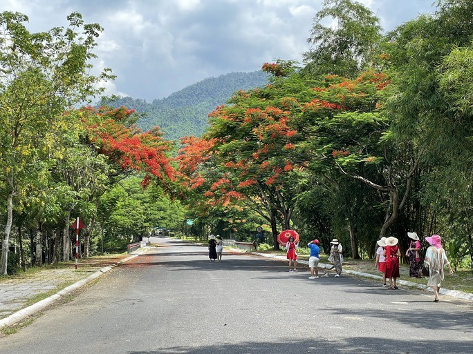 Photo: NLD Photo: NLD