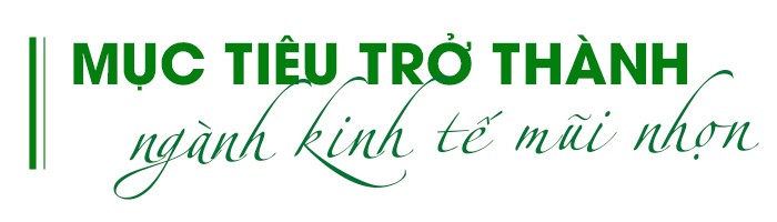 Đưa du lịch Việt Nam cất cánh Đưa du lịch Việt Nam cất cánh