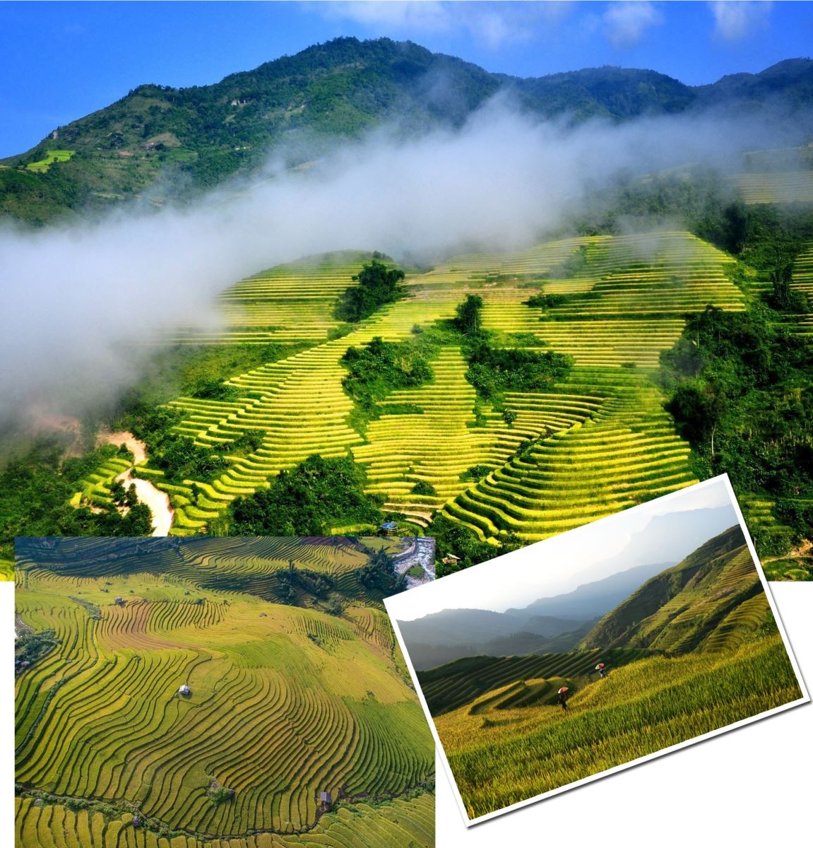 Đưa du lịch Việt Nam cất cánh Đưa du lịch Việt Nam cất cánh