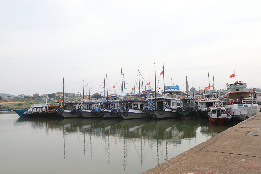 Tàu thuyền trú bão tại khu vực tránh trú phường Giếng Đáy, TP Hạ Long, tỉnh Quảng Ninh Tàu thuyền trú bão tại khu vực tránh trú phường Giếng Đáy, TP Hạ Long, tỉnh Quảng Ninh
