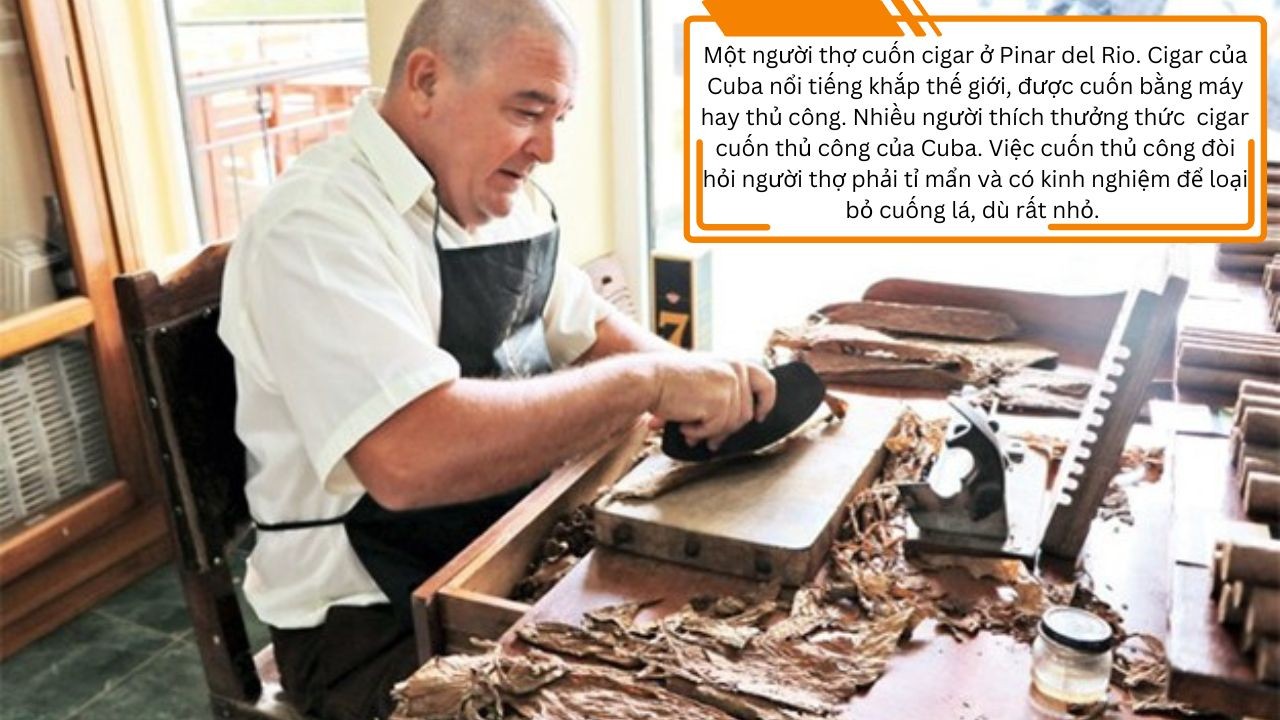 Biểu tượng của tự do, hòa bình và lòng nhân ái