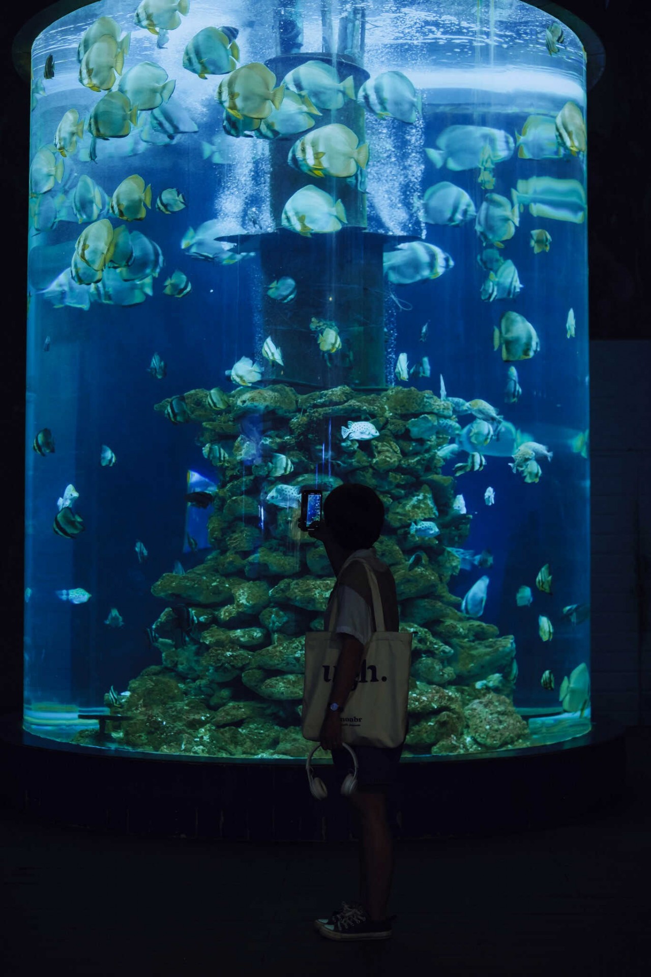 Visit The 100-Year-Old Oceanography Museum In Nha Trang Visit The 100-Year-Old Oceanography Museum In Nha Trang