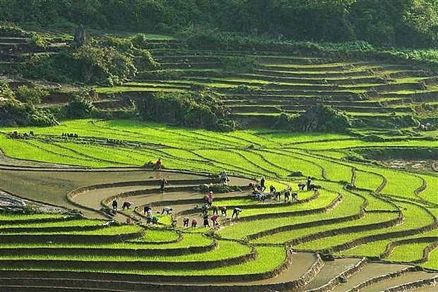 Sa Pa township in Vietnam's Lao Cai province. (Photo: VNA) Sa Pa township in Vietnam's Lao Cai province. (Photo: VNA)