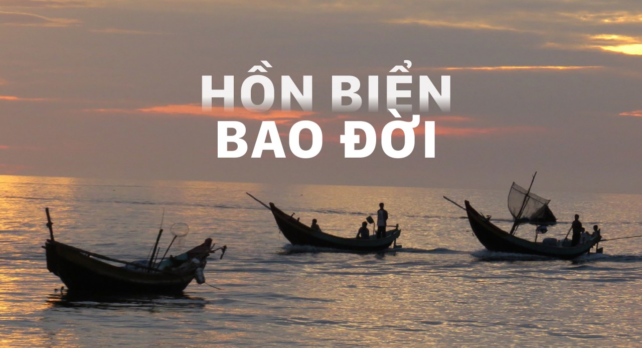 Hồn biển bao đời Hồn biển bao đời