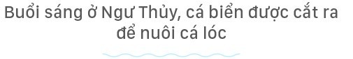 Hồn biển bao đời Hồn biển bao đời