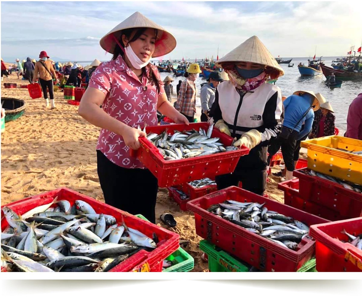 Hồn biển bao đời Hồn biển bao đời