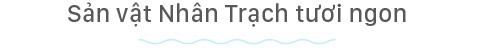 Hồn biển bao đời Hồn biển bao đời