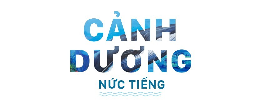 Hồn biển bao đời Hồn biển bao đời