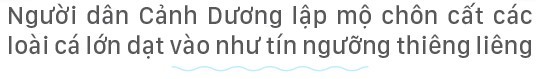 Hồn biển bao đời Hồn biển bao đời