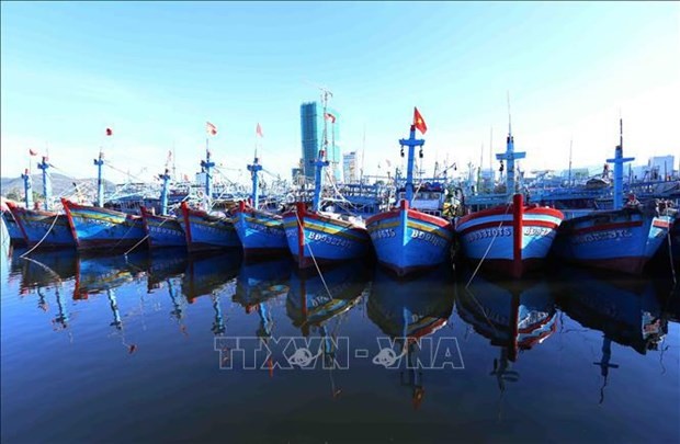 Binh Dinh strongly opposes IUU fishing Binh Dinh strongly opposes IUU fishing