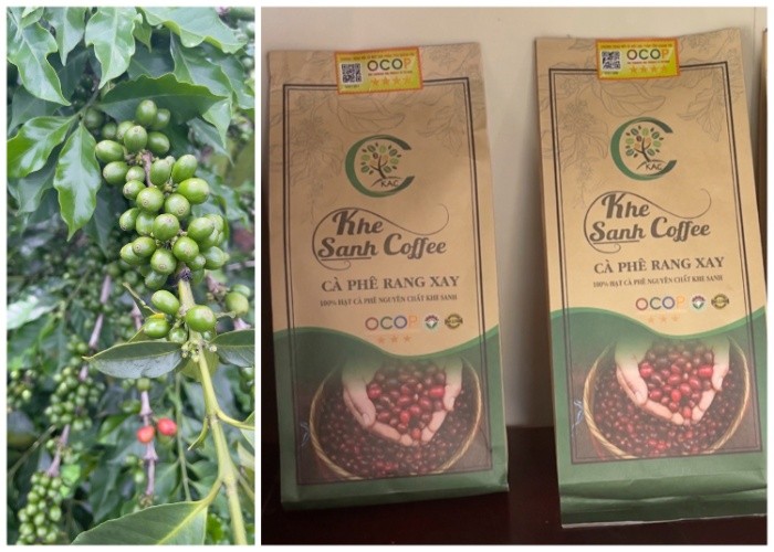 Sức sống mới ở chiến trường Khe Sanh xưa Sức sống mới ở chiến trường Khe Sanh xưa