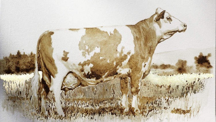 Kỳ lạ nghệ sĩ thích vẽ tranh bằng phân bò Kỳ lạ nghệ sĩ thích vẽ tranh bằng phân bò