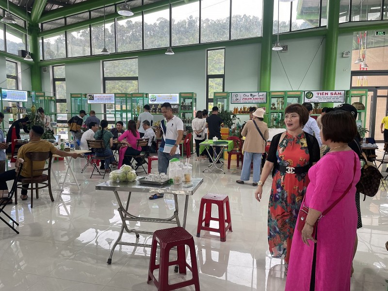 20 năm tái lập: mang hình ảnh sâm Ngọc Linh, con người Nam Trà My tới bạn bè trong nước và quốc tế 20 năm tái lập: mang hình ảnh sâm Ngọc Linh, con người Nam Trà My tới bạn bè trong nước và quốc tế