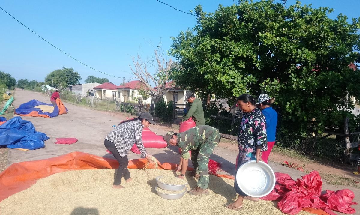 Để có được những "mùa vàng" trên biên giới
