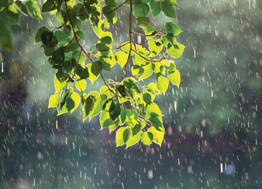 Vietnam Weather Forecast (August 3): Storms Increase In The East Sea Vietnam Weather Forecast (August 3): Storms Increase In The South China Sea