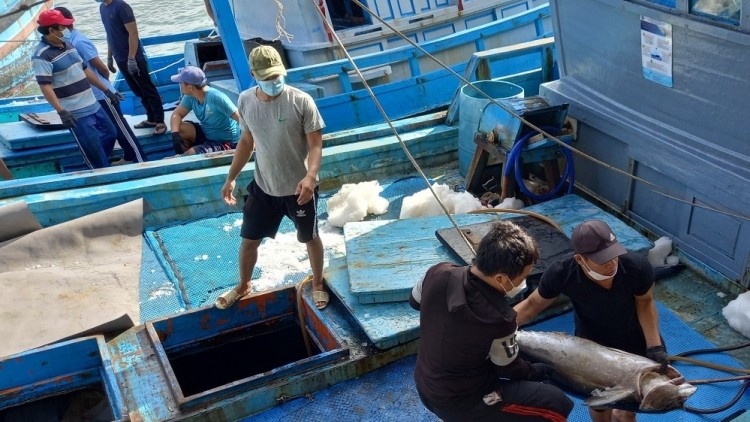 Khánh Hòa chi 10 tỷ đồng hỗ trợ phát triển nghề cá tại Trường Sa Khánh Hòa chi 10 tỷ đồng hỗ trợ phát triển nghề cá tại Trường Sa