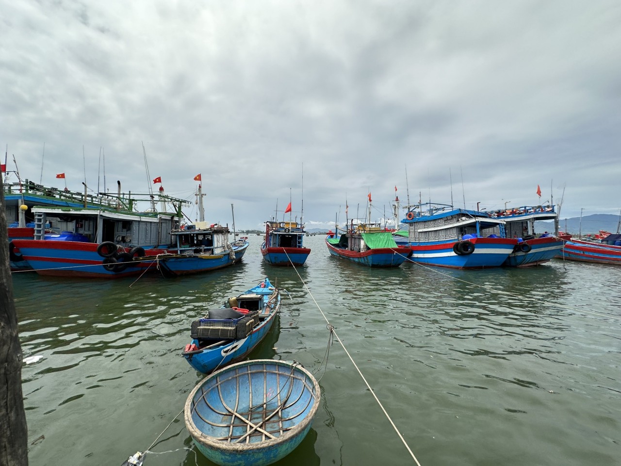 Người già đi biển Núi Thành, Quảng Nam: Người già đi biển