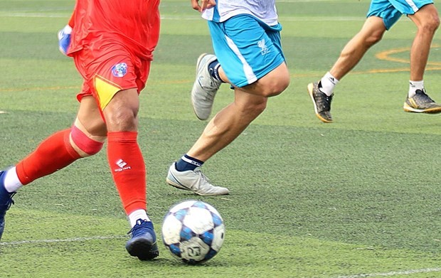 Sôi nổi Giải Bóng đá UGVB mừng 50 năm quan hệ ngoại giao Việt Nam-Bỉ | Người Việt bốn phương | Vietnam+ (VietnamPlus) Sôi nổi Giải Bóng đá UGVB mừng 50 năm quan hệ ngoại giao Việt Nam-Bỉ | Người Việt bốn phương | Vietnam+ (VietnamPlus)