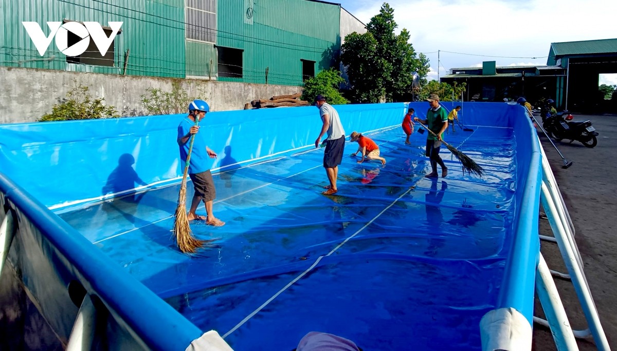 Nhiều trẻ em vùng sâu Đắk Lắk được học bơi miễn phí trong dịp hè Nhiều trẻ em vùng sâu Đắk Lắk được học bơi miễn phí trong dịp hè