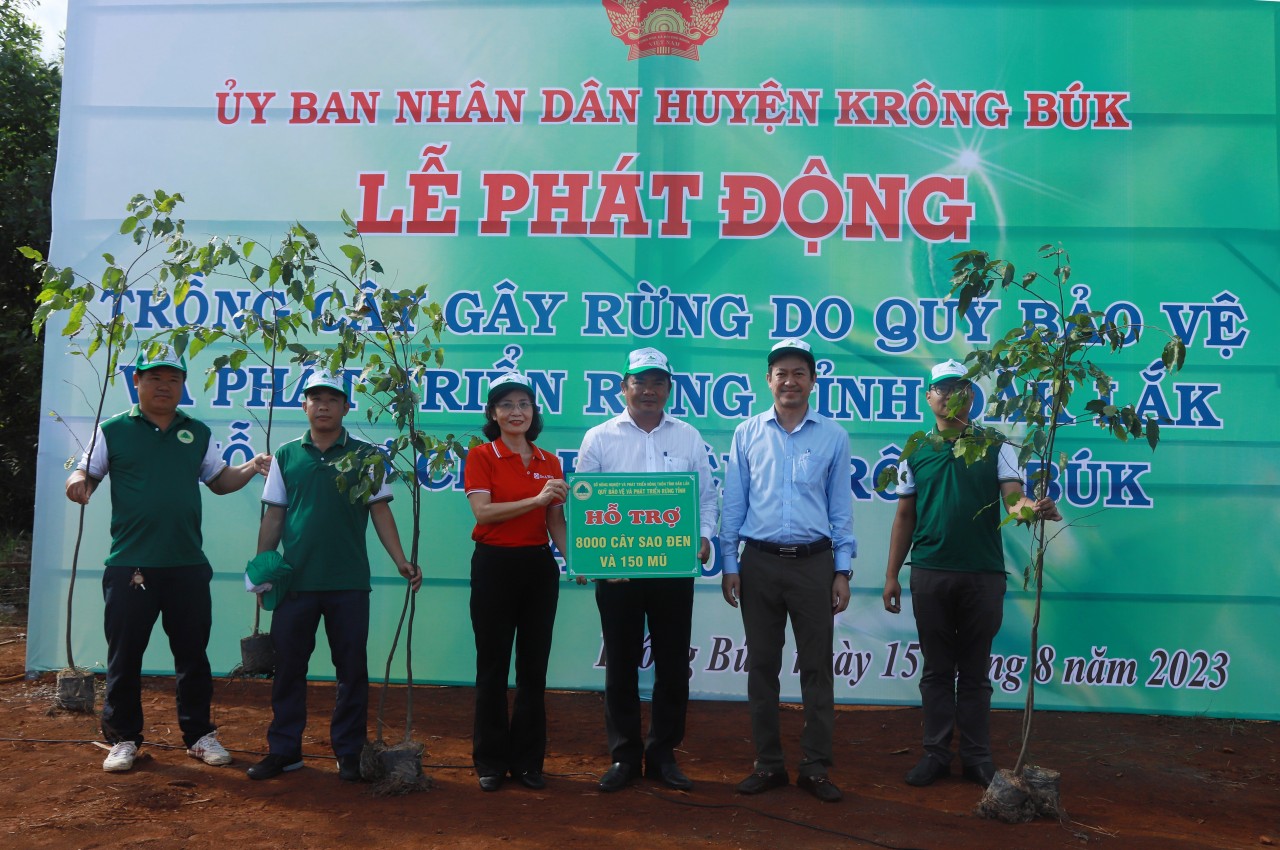 SeABank trao tặng 25.000 cây phủ xanh đất rừng tại Đắk Lắk SeABank trao tặng 25.000 cây phủ xanh đất rừng tại Đắk Lắk