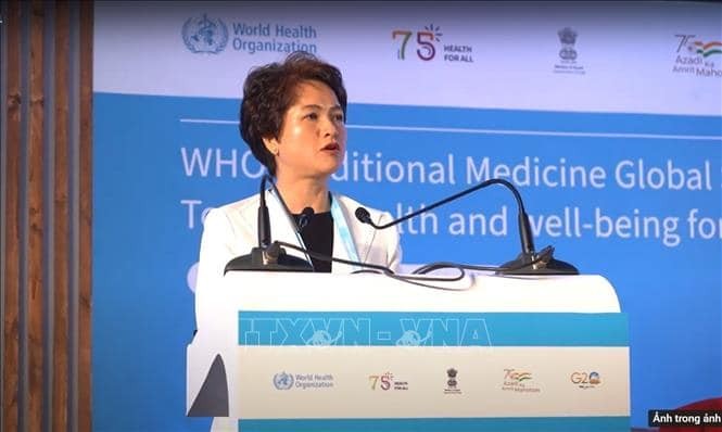 Vietnam Shares Policies to Encourage Development of Traditional Medicine Vietnam Shares Policies to Encourage Development of Traditional Medicine