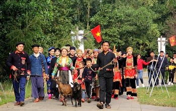 Nhiều hoạt động 