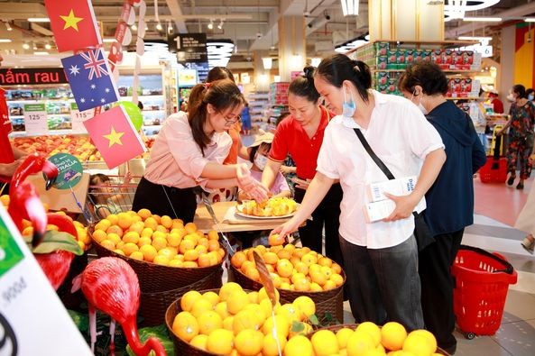 Experts: Australia Attaches Importance to Relations with Vietnam Experts: Australia Attaches Importance to Relations with Vietnam
