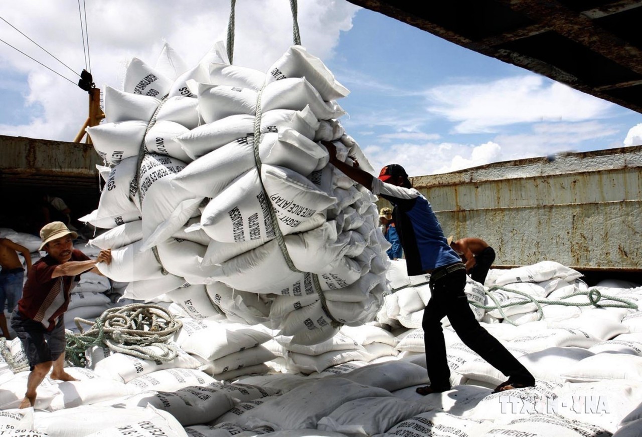 Economic Expert: Vietnam - EU Trade Reaches Record Heigh After Three Years of EVFTA Implementation Expert: Vietnam-EU Trade Reaches Record High After 3 Years of EVFTA Implementation