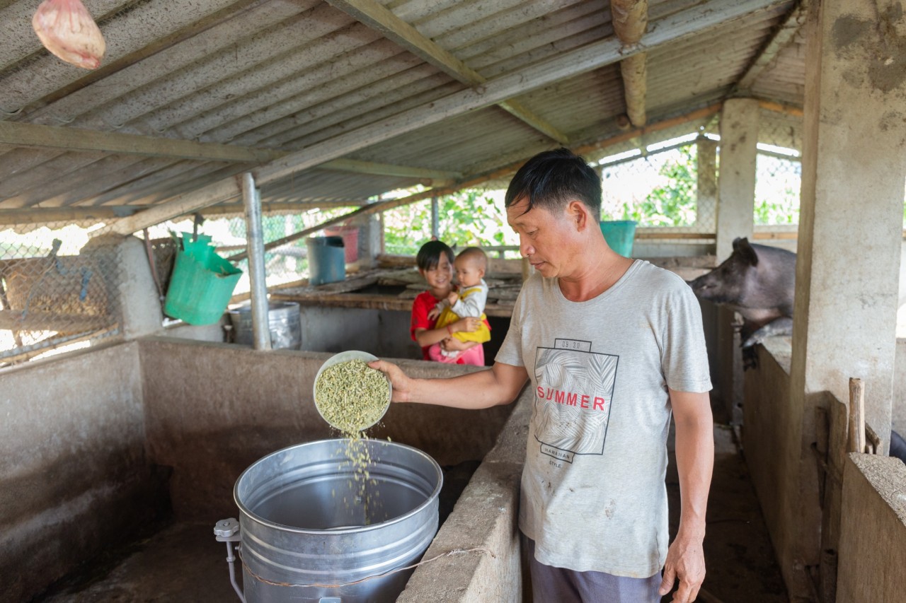 Mô hình vườn nhà cải thiện bữa ăn cho người dân nghèo Tân Uyên (Lai Châu) Mô hình vườn nhà cải thiện bữa ăn cho người dân nghèo Tân Uyên (Lai Châu)