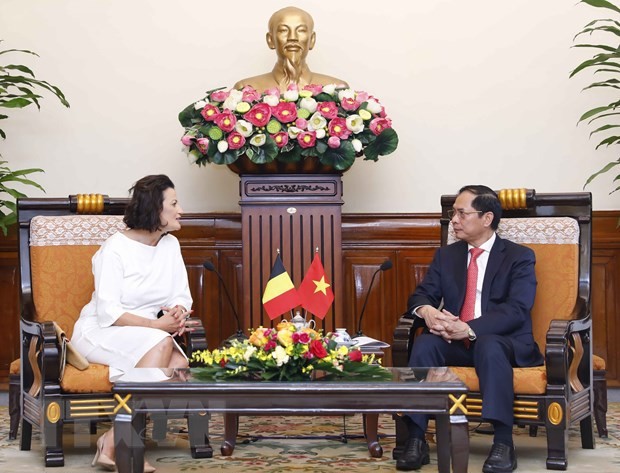 Bộ trưởng Bộ Ngoại giao Bùi Thanh Sơn hội kiến Chủ tịch Thượng viện Bỉ Stéphanie D'Hose. (Ảnh: An Đăng/TTXVN) Bộ trưởng Bộ Ngoại giao Bùi Thanh Sơn hội kiến Chủ tịch Thượng viện Bỉ Stéphanie D'Hose. (Ảnh: An Đăng/TTXVN)