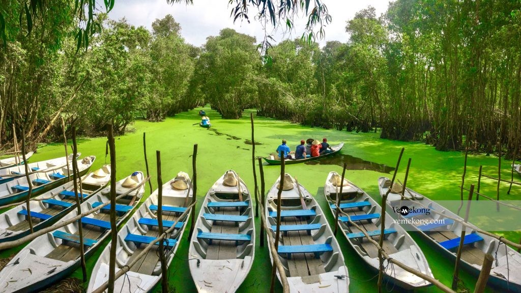 Tra Su Melaleuca Forest – The Fairytale Land Of Vietnam Tra Su Melaleuca Forest – The Fairytale Land Of Vietnam
