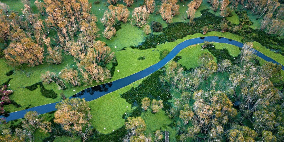 Tra Su Melaleuca Forest – The Fairytale Land Of Vietnam Tra Su Melaleuca Forest – The Fairytale Land Of Vietnam